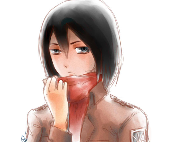 Mikasa