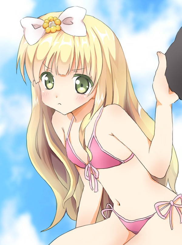 あずきあずさ【変態王子と笑わない猫。】