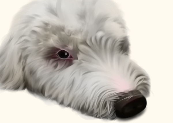 八万