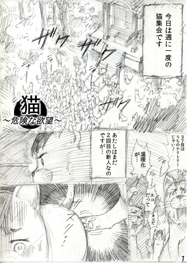 猫~危険な欲望~
