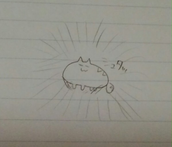 ぽねこ