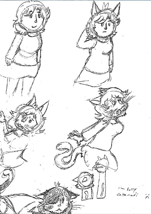 cat transformation