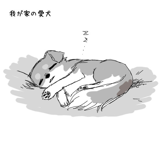 我が家の愛犬