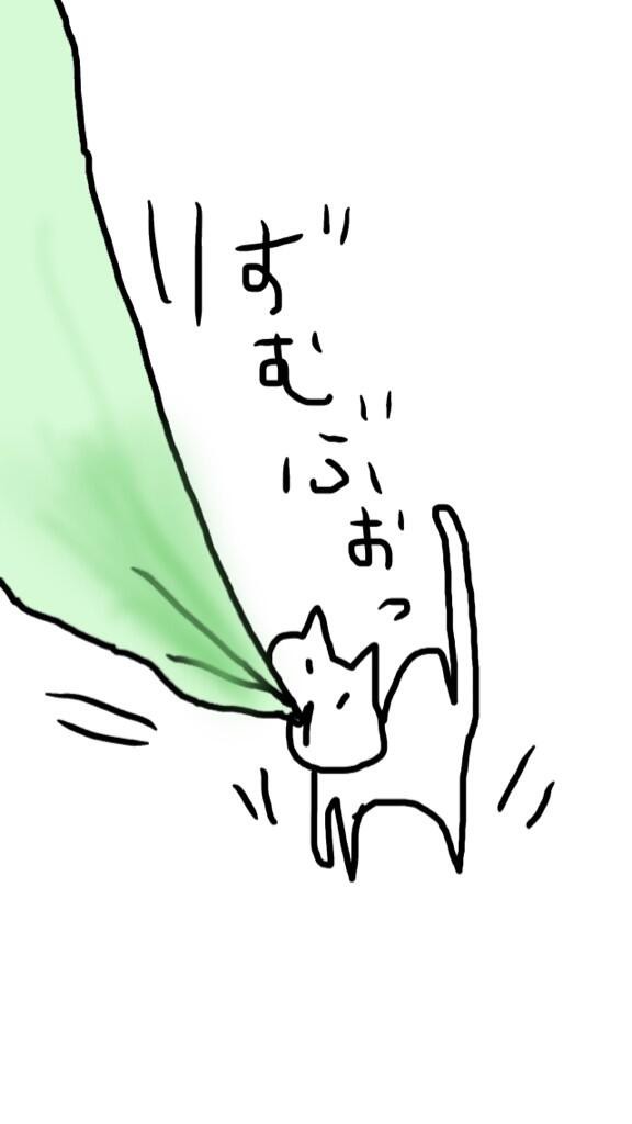 カーテン吸う猫