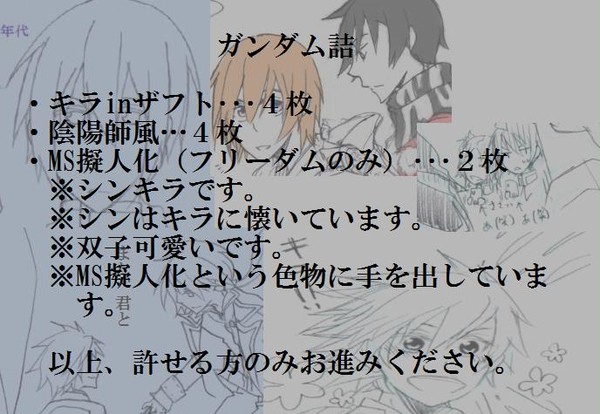 ガンダムS.DESTINY詰め