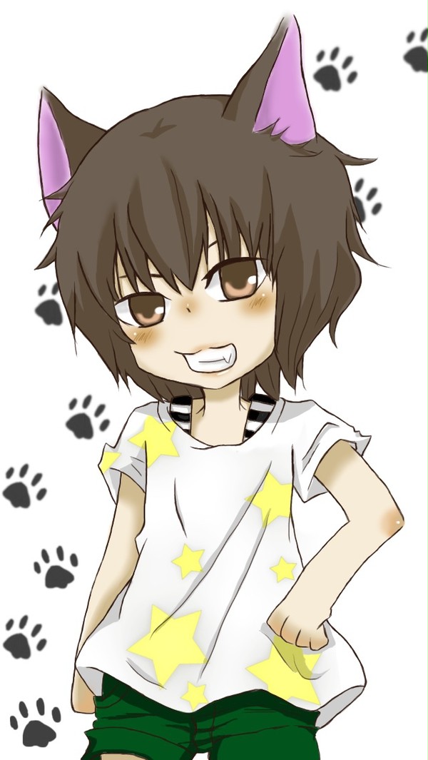 猫耳