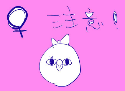 女子メドレー