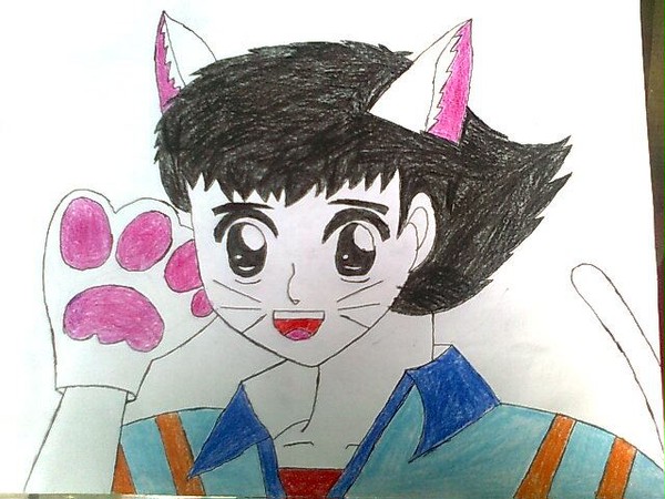 Tsubasa's neko