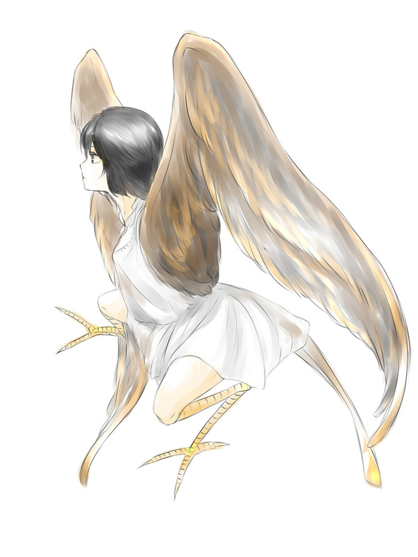 ハーピー（鳥人間？）