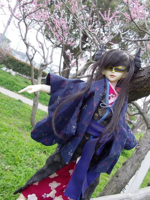 蜻様3D計画 完成済