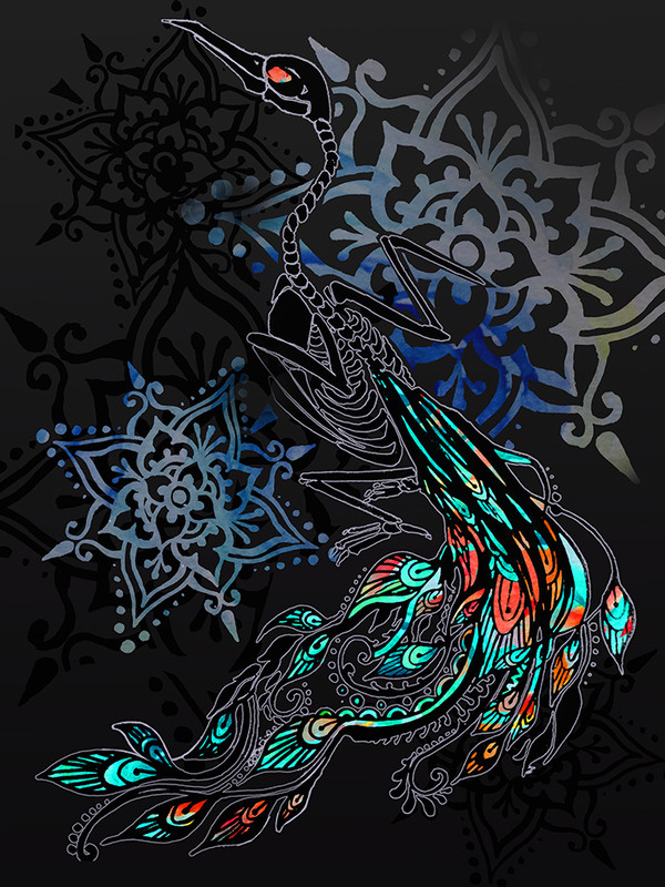 孔雀