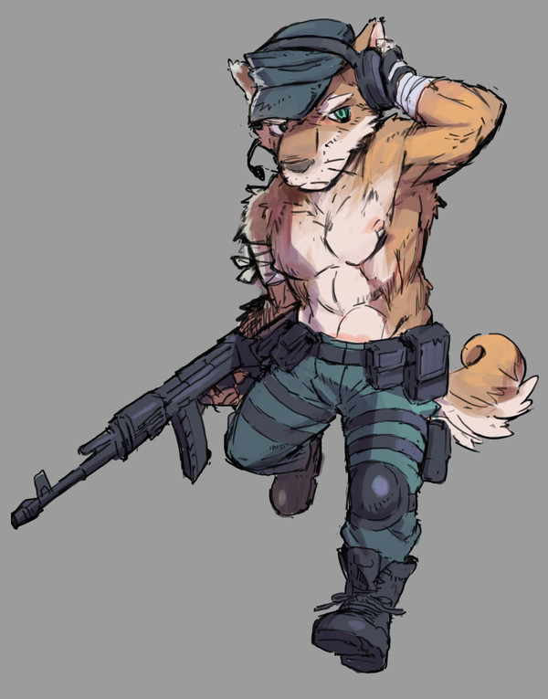 軍のイヌ