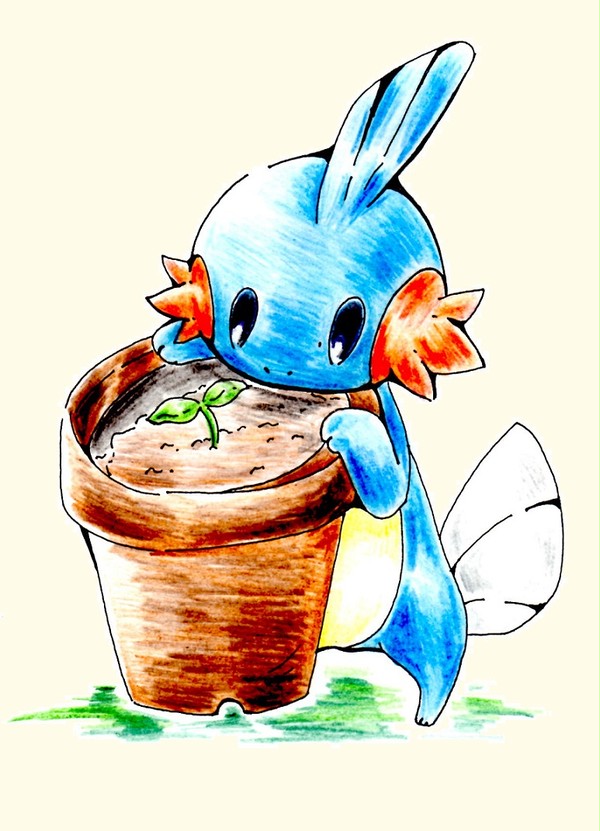 ミズゴロウと植木鉢