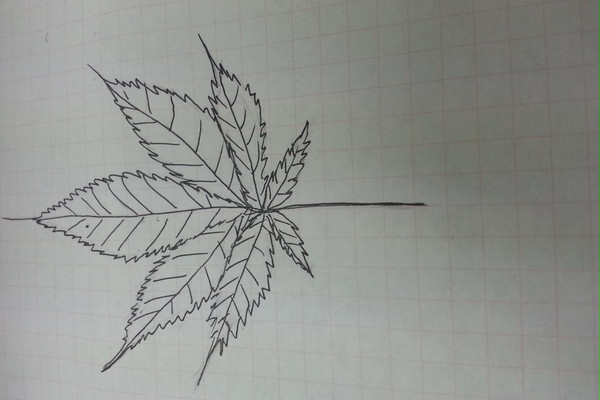 thc