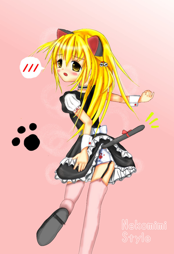 ねこみみめいど