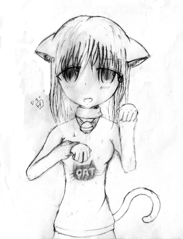 猫~~