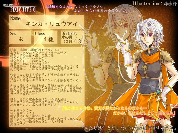 【ピク式】キンカ・リュウアイ【キャラシ】