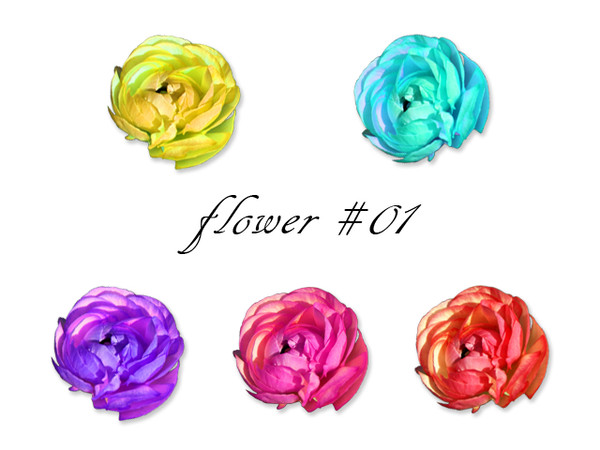 flower＃01