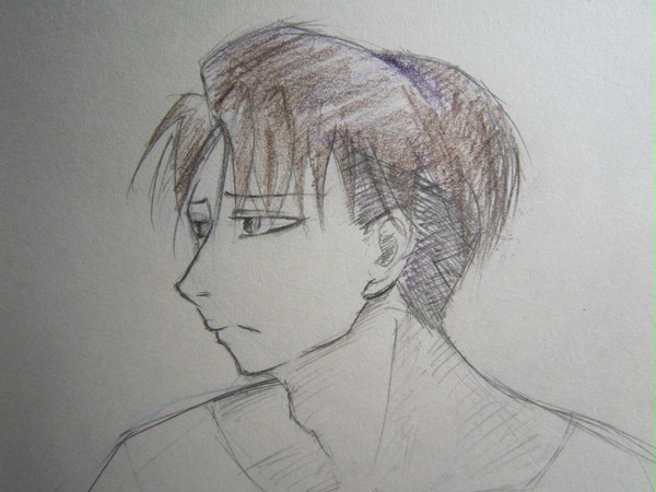 LEVI