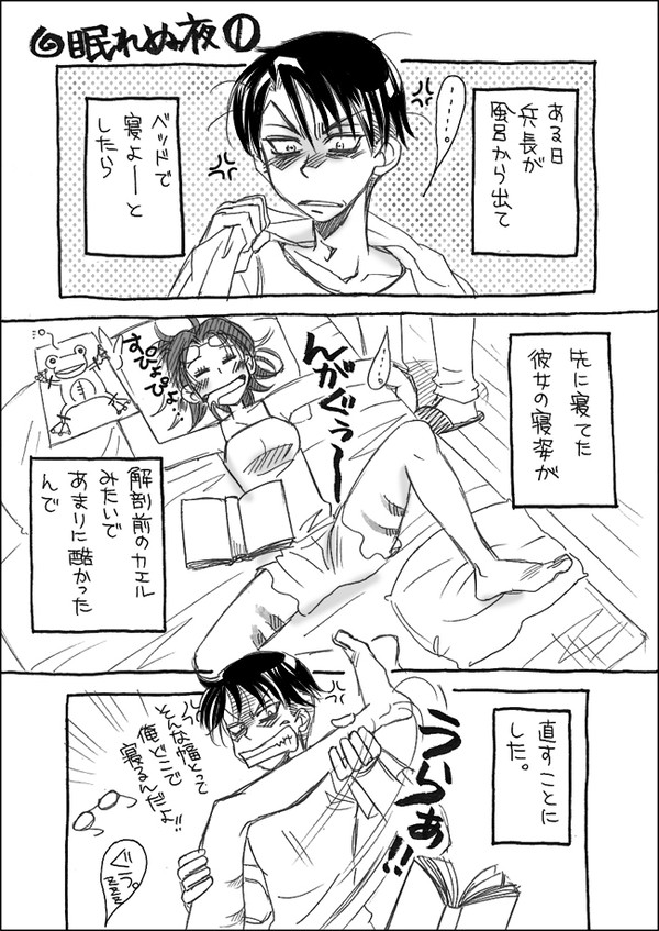 【リヴァハン】眠れぬ夜（1）
