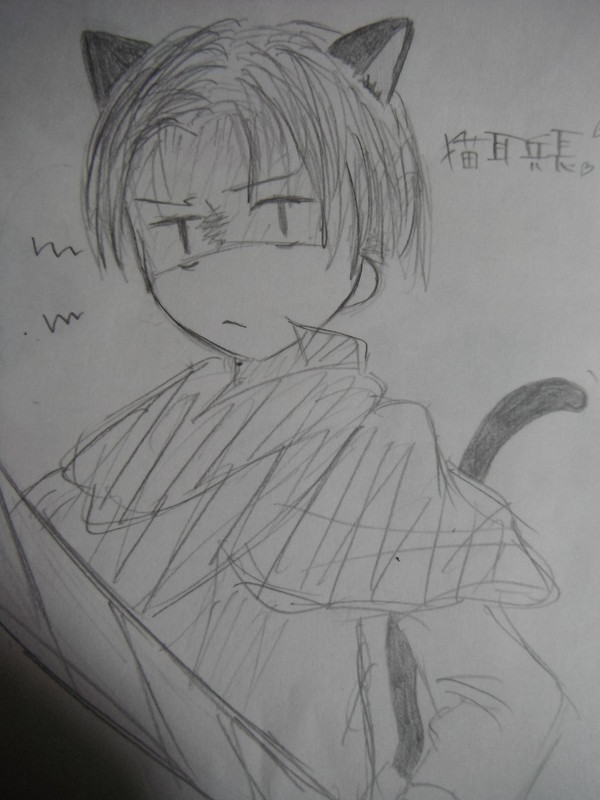 猫耳兵長