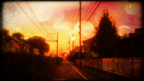 夏の夕陽