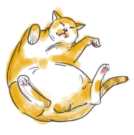 ねこ ちゃん