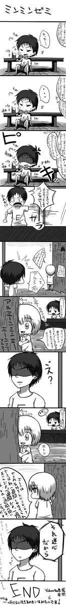 ミンミンゼミ