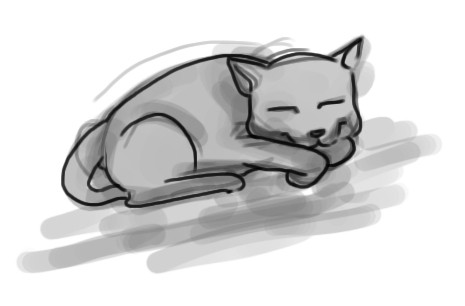 ねこ