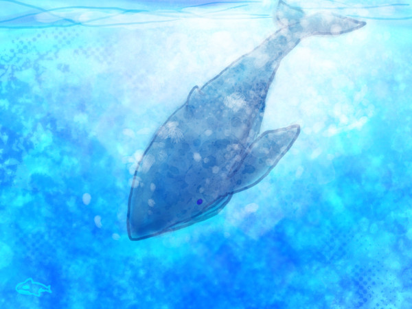 くじら