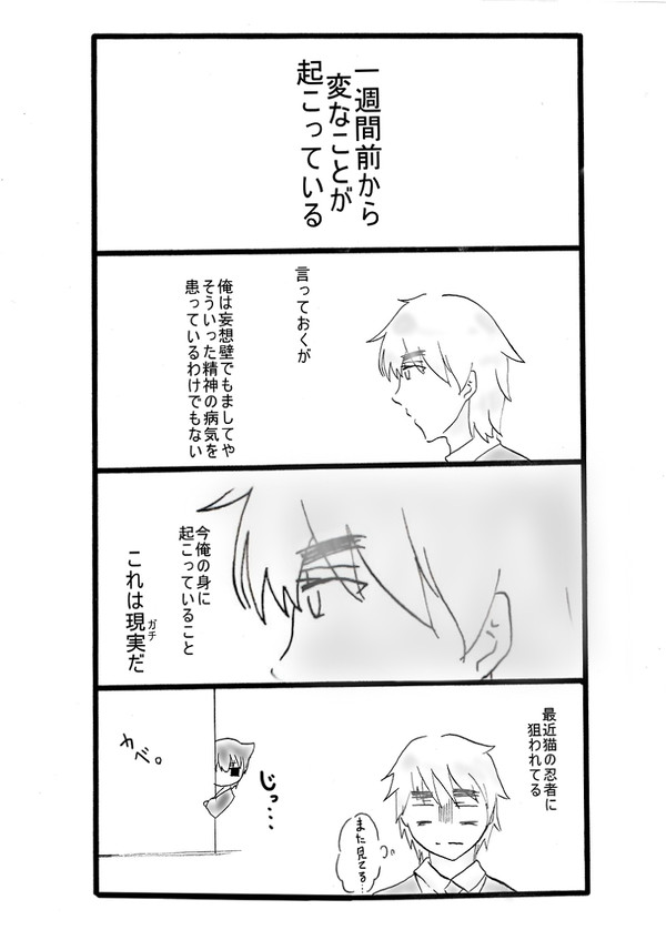 【島国同盟】コピペネタ