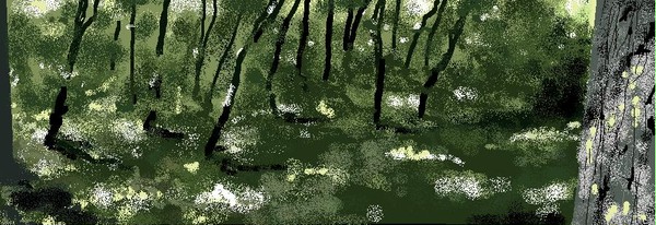 Shades in Summer Forest (2013)