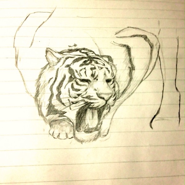 虎