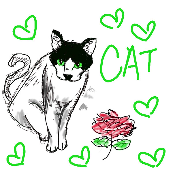 green eyes cat