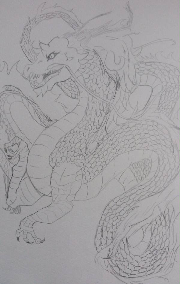 龍