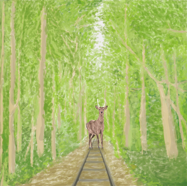 In the Deep Forest