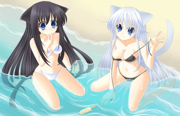 夏だよ！海だよ！水着だよ！！