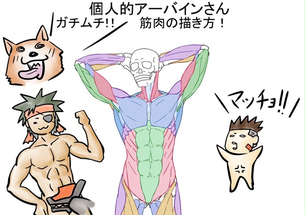 アーバインさんの筋肉の描き方とか、自分用覚え書き【マッチョ！】