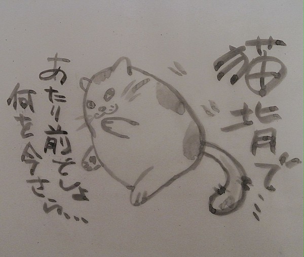 マツコは猫背