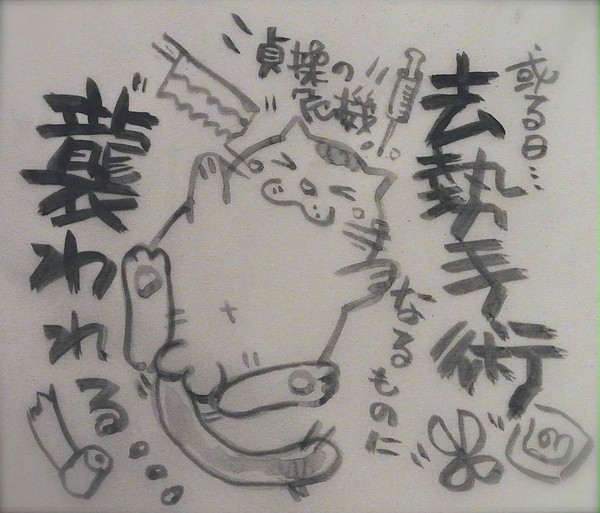 マツコ去勢手術なるものに襲われる。