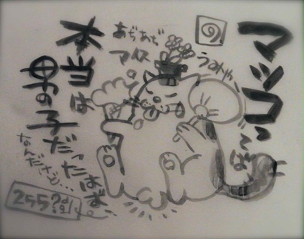 本当は男の子だったはず…マツコ