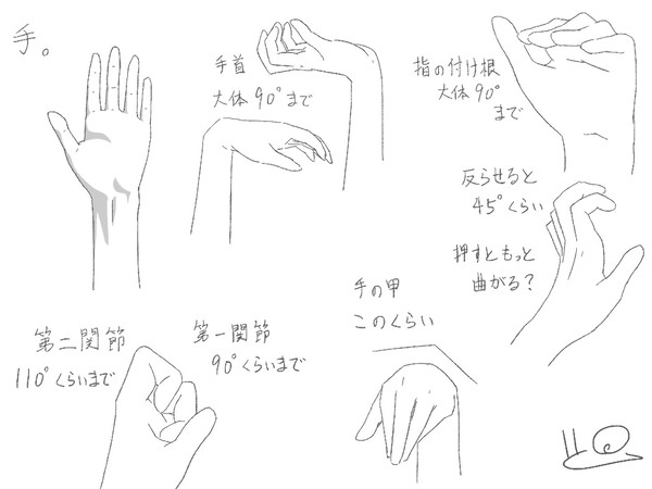手の関節の可動範囲
