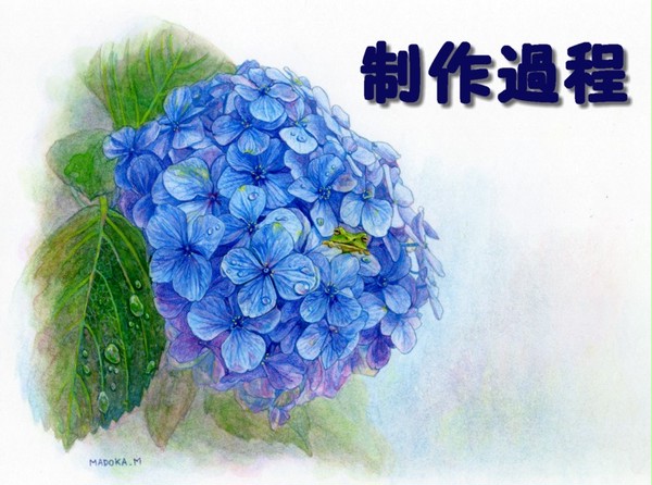 【動植物画】 ひとやすみ：制作過程