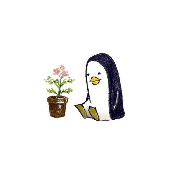 ペンギン花を見る