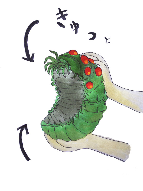こう、
