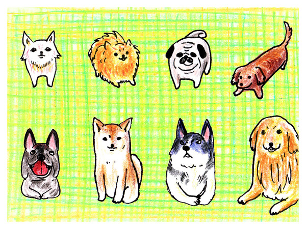 犬