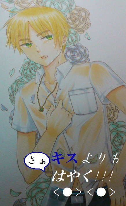 【腐向け】＼さぁはやく!!!／【朝菊】