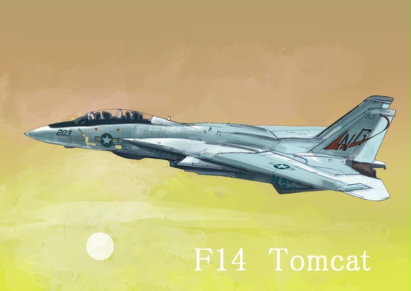 F14 Tomcat