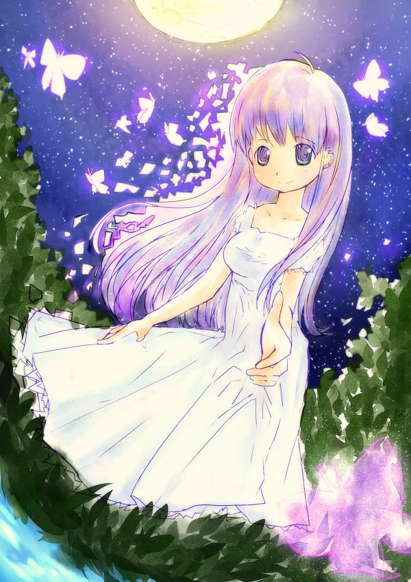 蝶の森