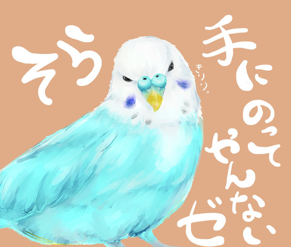 可愛いですよねっ！！